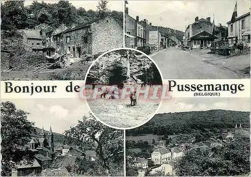 Cartes postales moderne Bonjour de Pussemange (Belgique) Sangliers Douane
