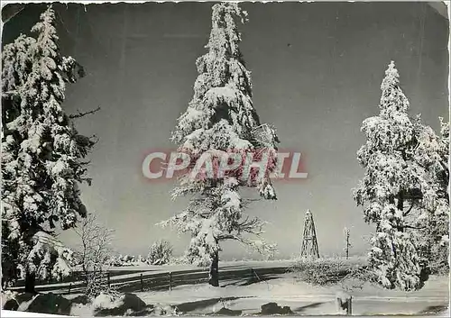 Cartes postales moderne Hiver en Hautes Fagnes Baraque Michel (Belvedere)