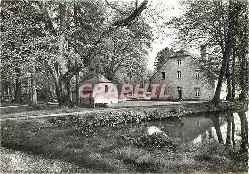 Cartes postales moderne Wellin Neupont le Chateau