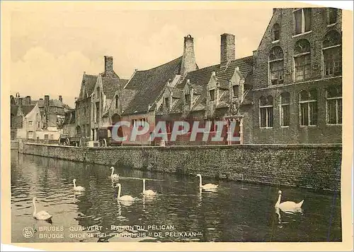 Cartes postales moderne Bruges Quai Vert Maison du Pelican