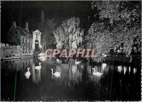 Cartes postales moderne Bruges Illumination du Pont du Beguinage Cygnes