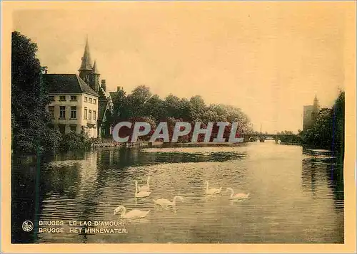 Cartes postales moderne Bruges le Lac d'Amour
