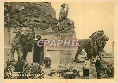 Moderne Karte Bruxelles Tombeau du Soldat Inconnu Lion