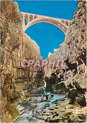 Cartes postales moderne Constantine (Algerie) Pont Sidi Rached pris du Fond des Gorges