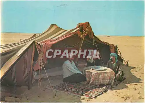 Moderne Karte Algerie Dans le desert