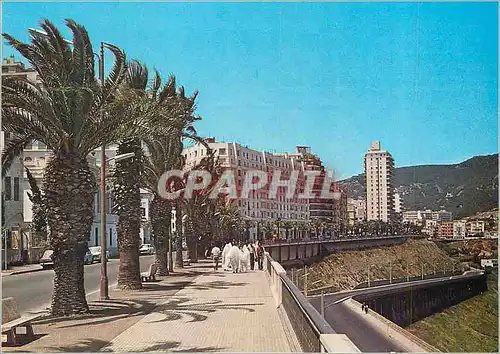 Moderne Karte Souvenir d'Oran