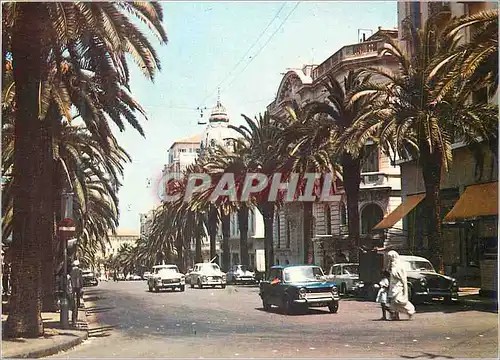 Cartes postales moderne Oran le Boulevard de la Soummam
