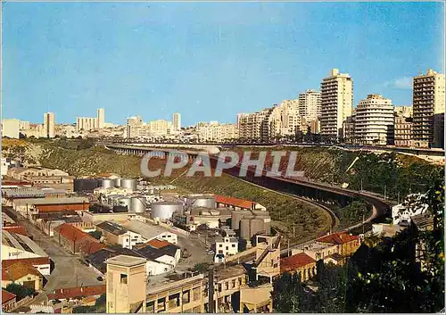 Cartes postales moderne Oran (Algerie) Vue sur le Bd de l'ALN (ex bd front de mer)