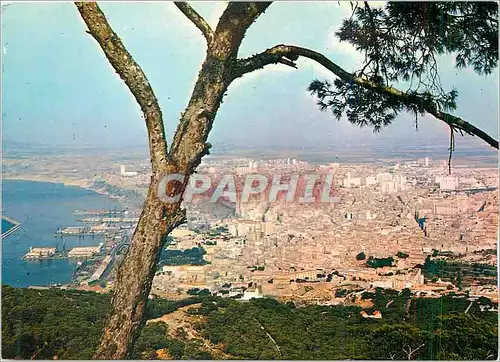 Moderne Karte Oran Lumiere et Beaute de l'Oranie Vue Generale