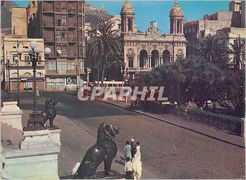 Cartes postales moderne Oran Couleurs et Lumieres d'Algerie l'Opera et les Lions de l'Hotel de Ville