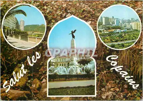 Cartes postales moderne Souvenir d'Oran Salut les Copains