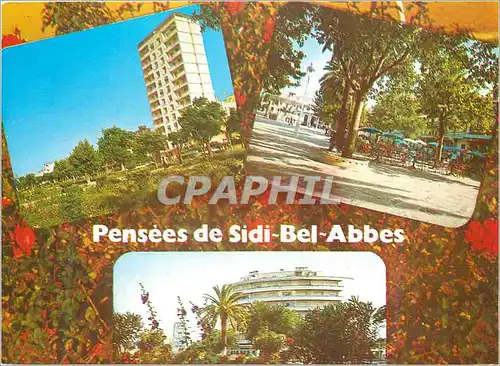 Moderne Karte Souvenir de Sidi Bel Abbes