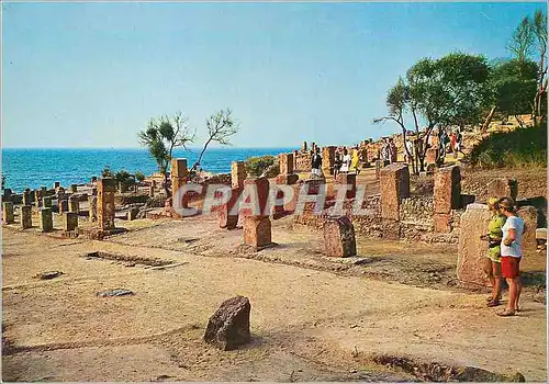 Cartes postales moderne Algerie Tipaza Ruines Romaines