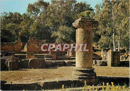 Moderne Karte Tipaza Ruines Romaines
