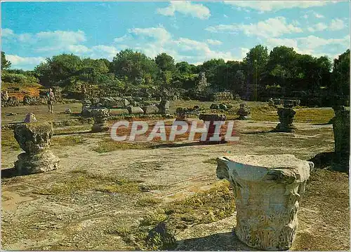 Cartes postales moderne Tipaza Ruines Romaines