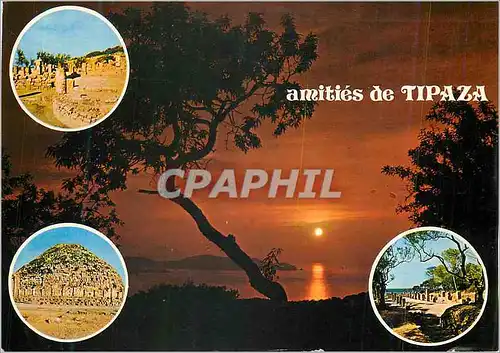 Cartes postales moderne Tipaza (Algerie) Ruines Romaines le Tombeau de la Chretienne