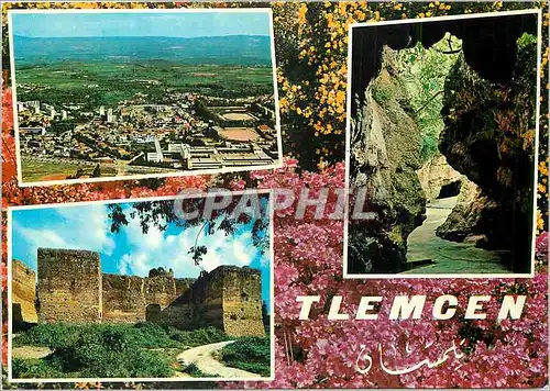Cartes postales moderne Tlemcen les Cascades de l'Ourit les Grottes Vue Generale