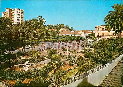 Cartes postales moderne Algerie Tizi Ouzou
