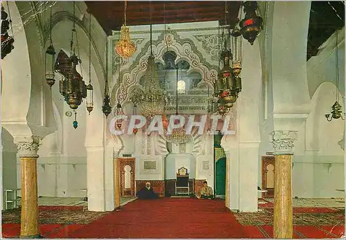 Cartes postales moderne Tlemcen la Grande Mosquee le Mihrab