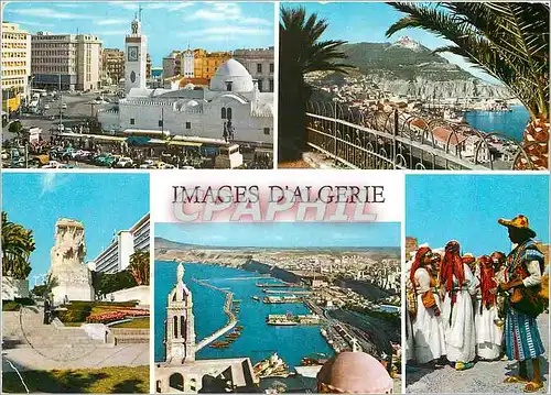 Cartes postales moderne Images d'Algerie