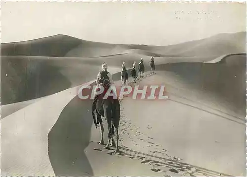 Cartes postales moderne Collection Saharienne Meharistes en Patrouille Chameau