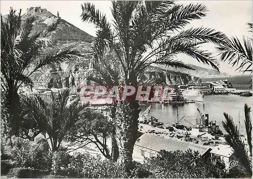 Cartes postales moderne Oran le Vieux Port Bateaux