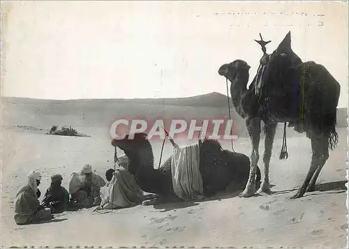 Moderne Karte Collection Saharienne Halte en Vue du Campement Chameau