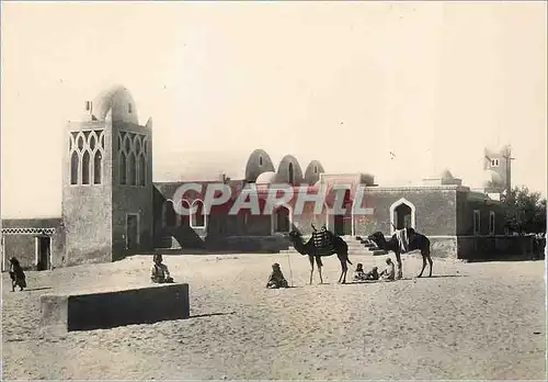 Cartes postales moderne Collection Saharienne un Bordj dans le Desert Chameaux