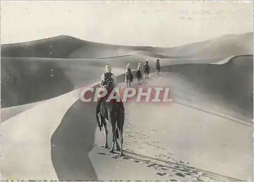 Moderne Karte Collection Saharienne Meharistes en Patrouille Chameaux