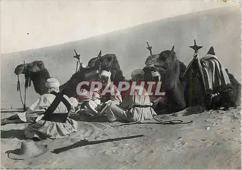 Moderne Karte Collection Saharienne Meharistes au Repos Chameaux