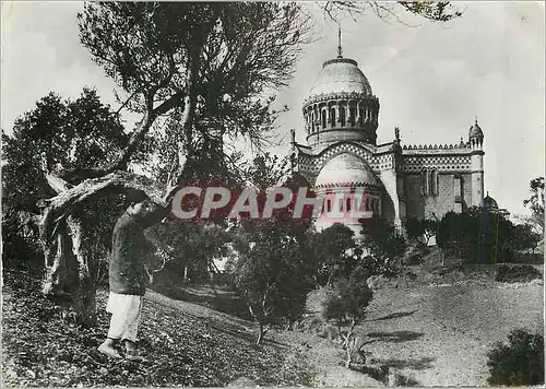 Cartes postales moderne Alger Notre Dame d'Afrique entre les Oliviers
