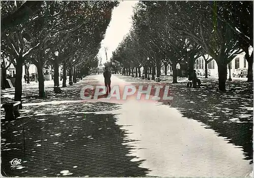 Cartes postales moderne Bone le Cours Bertagna