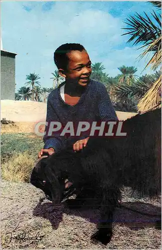 Cartes postales moderne Algerie Scenes et Types Enfant Mouton