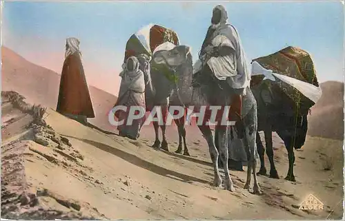Cartes postales moderne Scenes et Types dans les Dunes Chameau