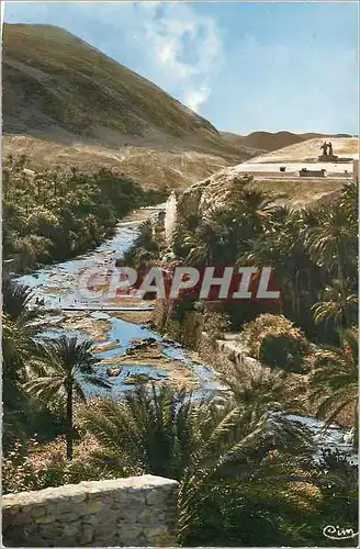 Cartes postales moderne Bou Saada (Algerie) Cite du Bonheur les Gorges
