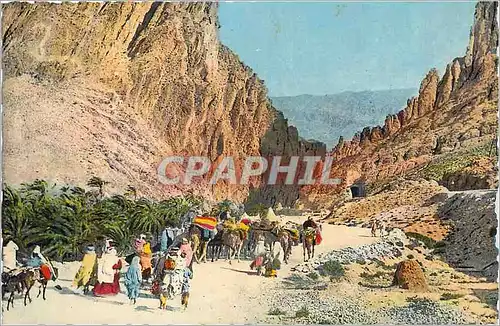 Cartes postales moderne Scenes et Types d'Afrique du Nord les Gorges d'El Kantara Chameaux