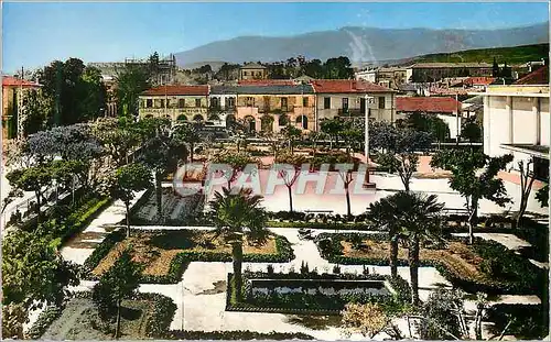 Cartes postales moderne Aumale (Alger) Square