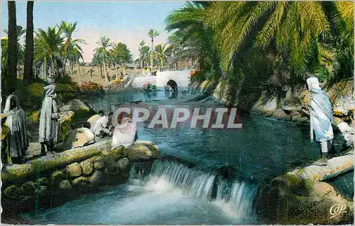 Cartes postales moderne Scenes et Types Laveuses dans l'Oued