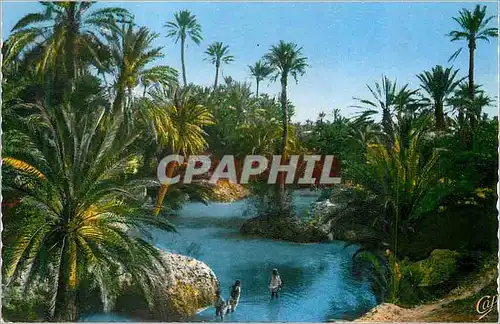 Moderne Karte Scenes et Types