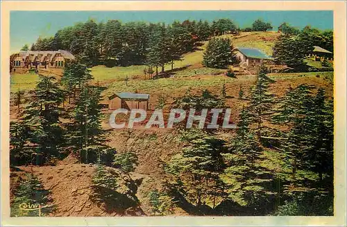 Cartes postales moderne Chrea (Alger) le Ski Club vu du Chemin Abel