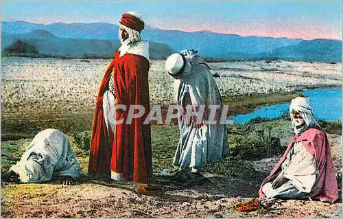Cartes postales moderne Scenes et Types d'Afrique du Nord la Priere dans le Desert