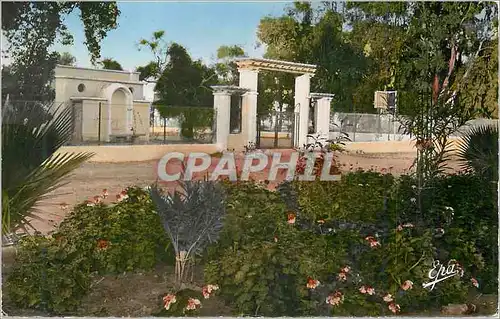 Cartes postales moderne Port Say Centre de la Station