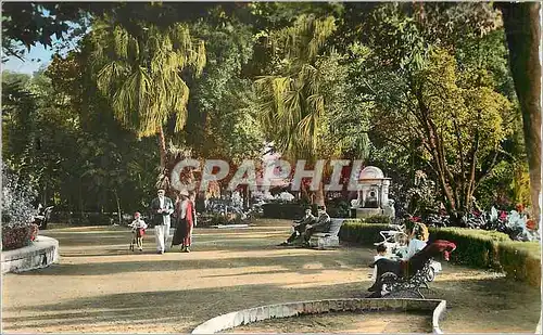 Cartes postales moderne Blida (Alger) Jardin