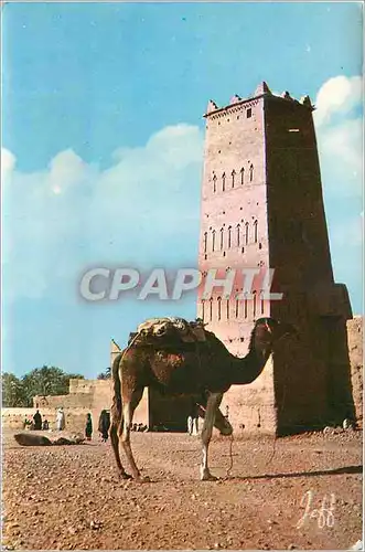 Cartes postales moderne Pittoresque Afrique du Nord la Halte