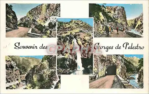 Moderne Karte Souvenir des Gorges de Palestro