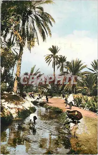 Cartes postales moderne Collection Artistique l'Afrique Tozeur a la Seguia