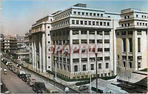 Cartes postales moderne Alger Boulevard Bugeaud Nouvelle Mairie