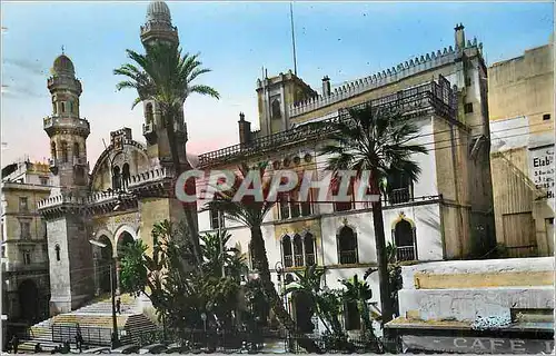 Cartes postales moderne Alger le Palais d'Hiver et la Cathedrale