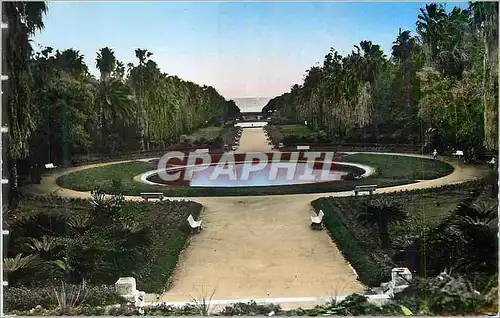 Moderne Karte Alger Jardin d'Essai