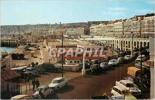 Cartes postales moderne Alger le Port